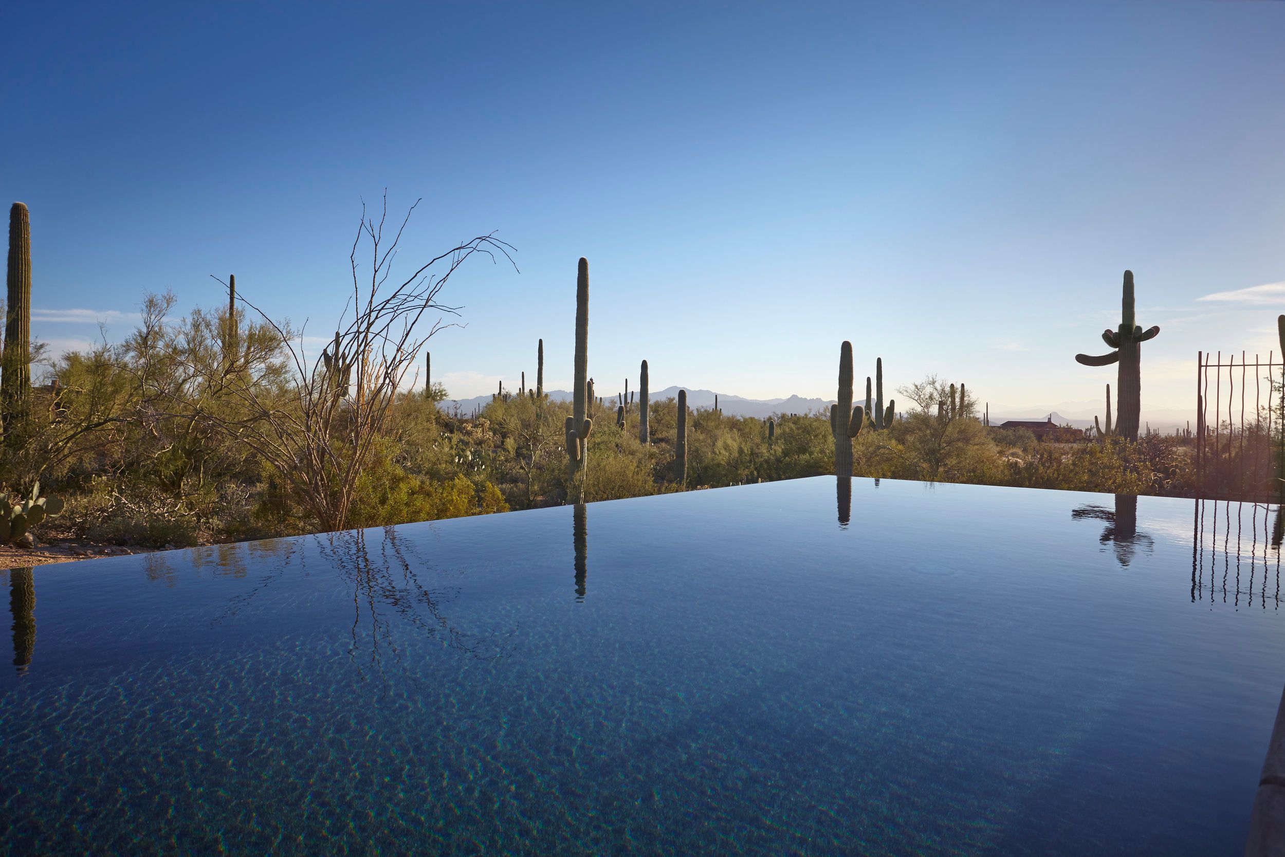 Negative-edge pool at dusk with saguaros mirrored in the still water