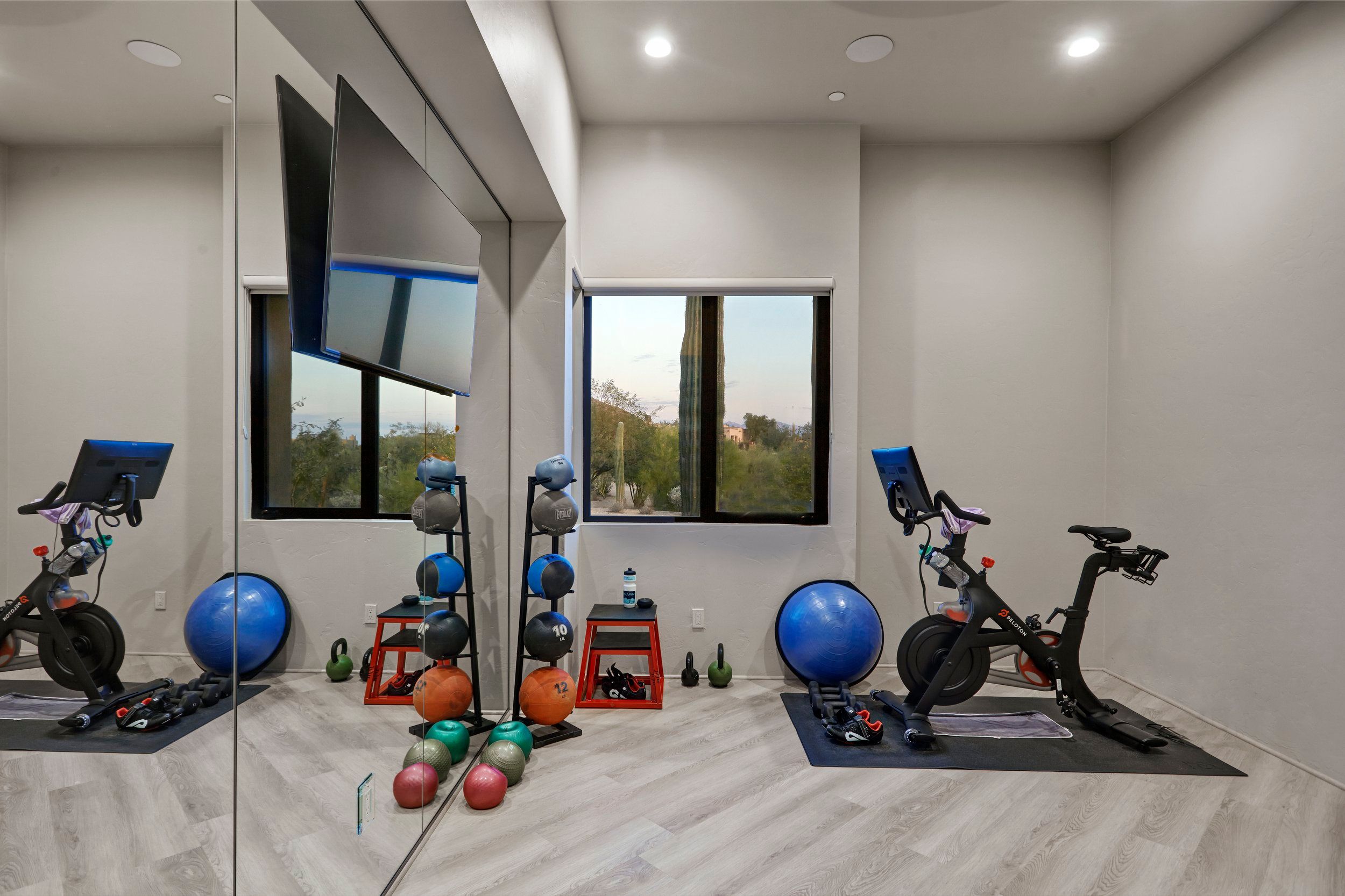 Home gym with a mirrored wall, exercise bike, weights and desert view