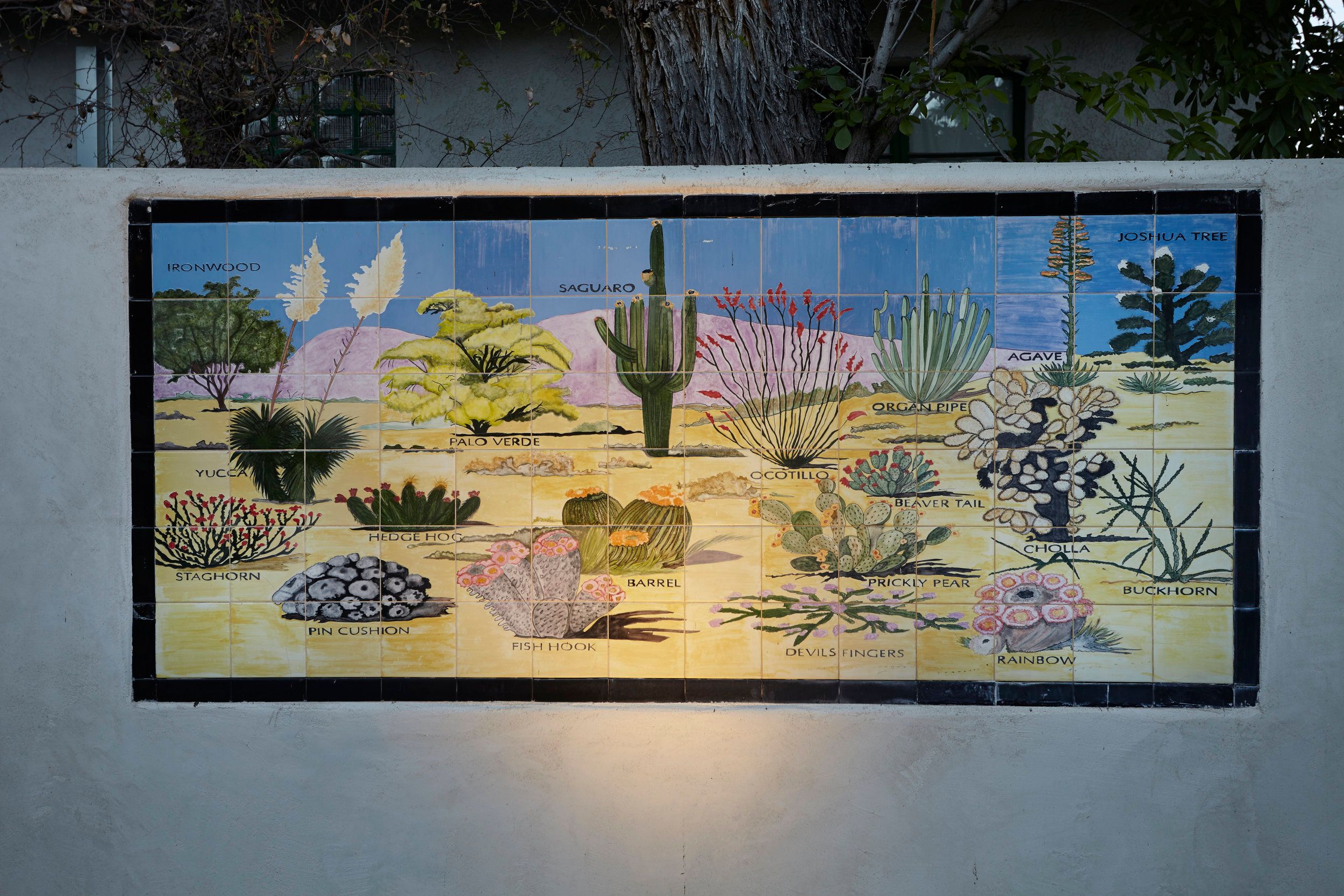 Hand-painted tile mural of labelled Sonoran Desert plants on a stucco wall